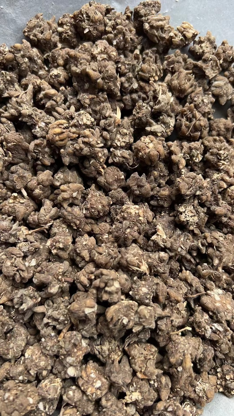 猫爪草批发500克中药材原料批发无硫***结节消