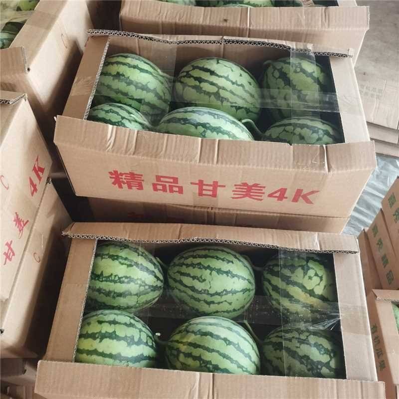甘美4K西瓜大量供应基地货源全国发货欢迎电话咨询