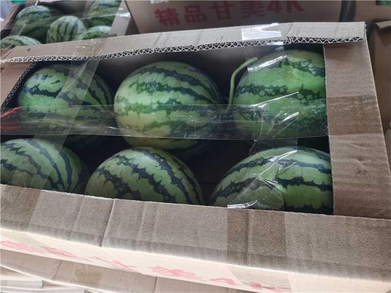 甘美4K西瓜大量供应基地货源全国发货欢迎电话咨询
