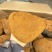 【大货批发】桑黄马蹄黄大块头桑黄干肉质黄无硫桑黄煮水