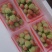 云南夏季草莓蒙特瑞草莓基地直供买一件多送一盒
