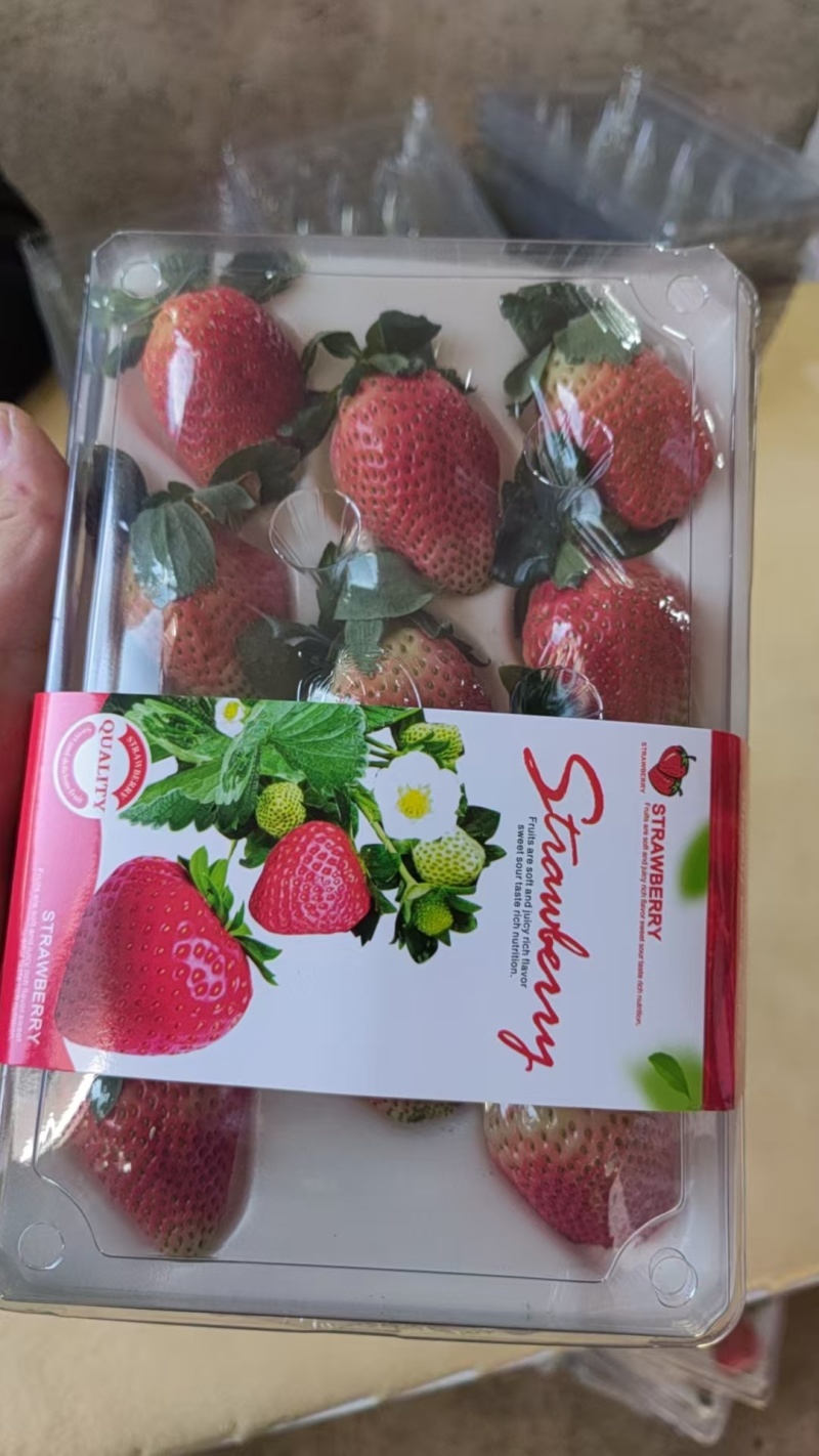 云南夏季草莓蒙特瑞草莓基地直供买一件多送一盒