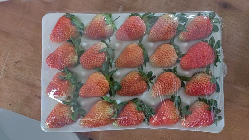 云南夏季草莓蒙特瑞草莓基地直供买一件多送一盒