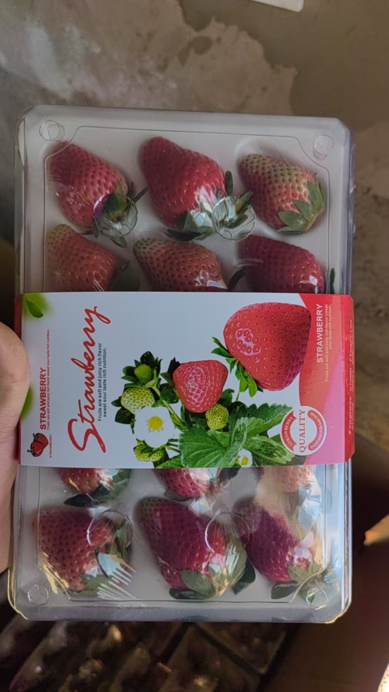 云南夏季草莓蒙特瑞草莓基地直供买一件多送一盒