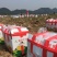 河南沃土5号土豆精品土豆大量供应商超品质全国发货