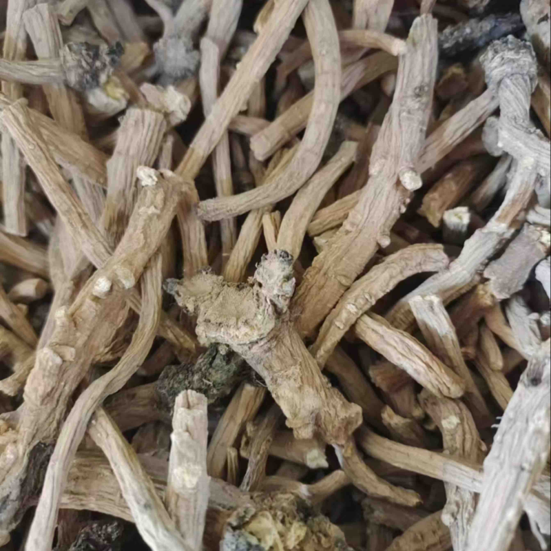 板蓝根甘肃中药材批发保证正品全国量大从优欢迎咨询