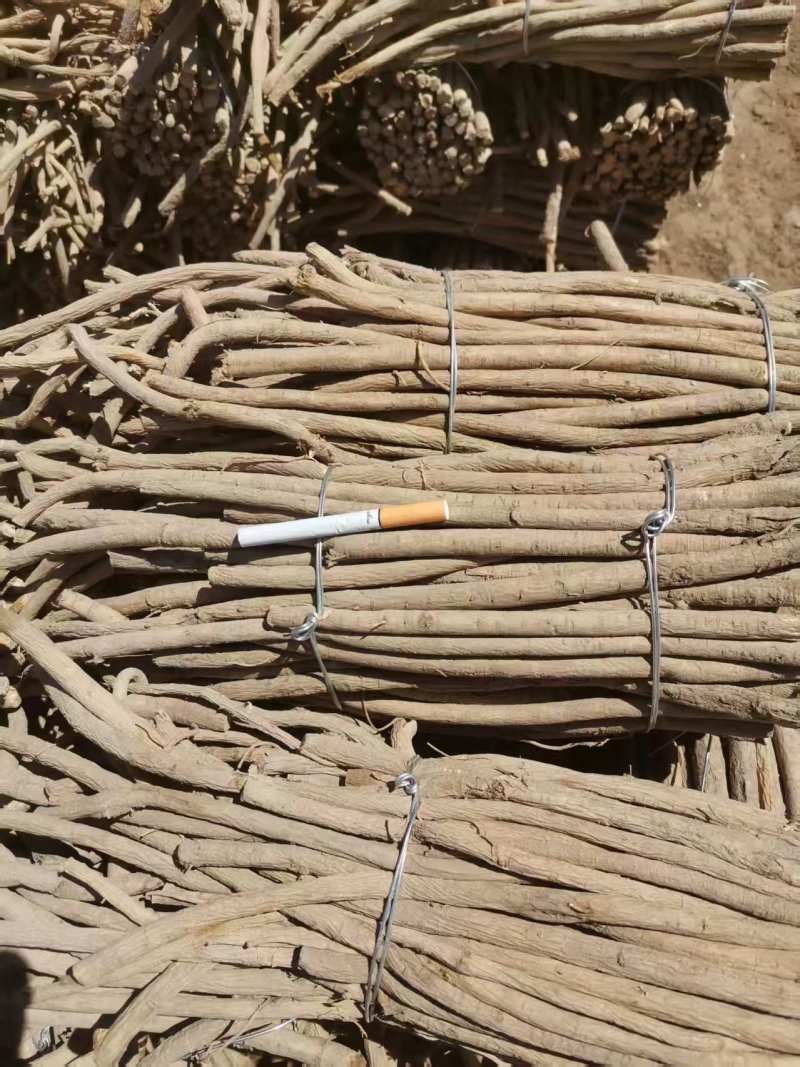 精品黄芪条甘肃张掖黄芪条，产地货源，量大产地直发