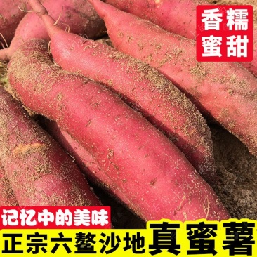 红薯正宗六鳌蜜薯地瓜沙地一件代发10斤包邮批发代办实力