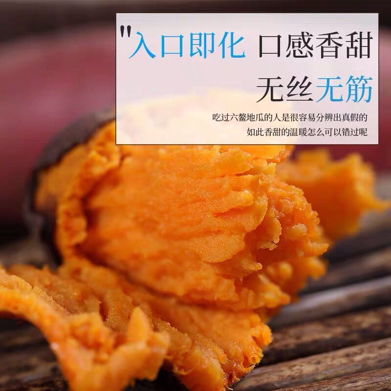红薯正宗六鳌蜜薯地瓜沙地一件代发10斤包邮批发代办实力