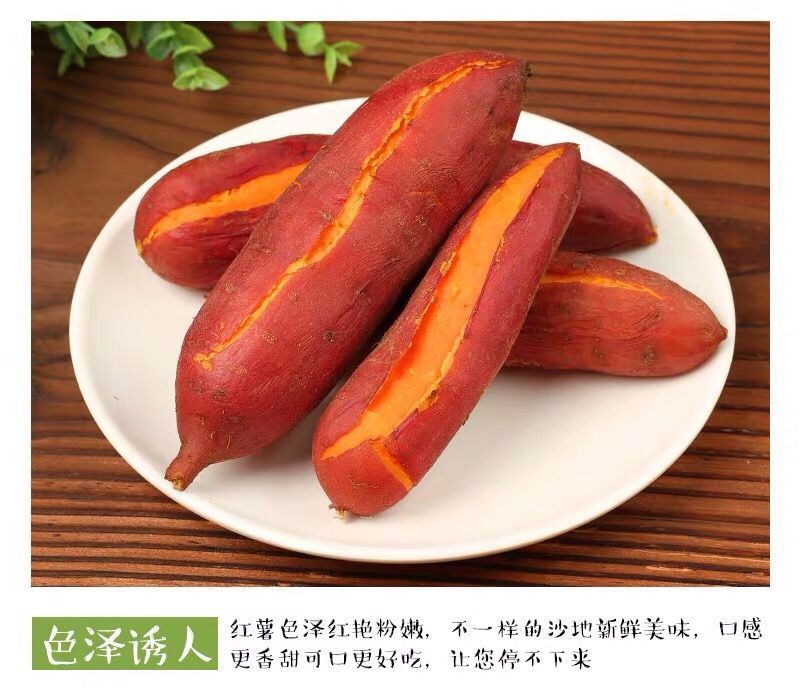 红薯正宗六鳌蜜薯地瓜沙地一件代发10斤包邮批发代办实力