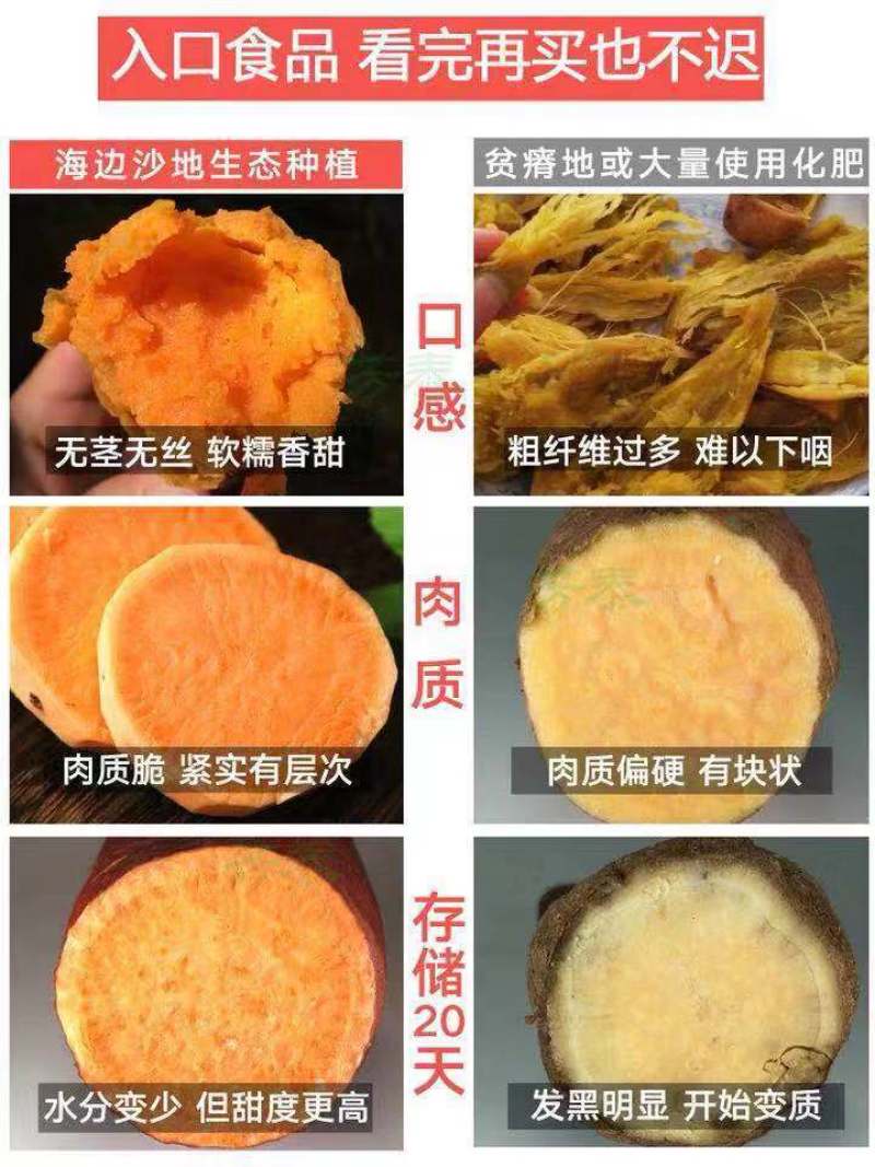 红薯正宗六鳌蜜薯地瓜沙地一件代发10斤包邮批发代办实力