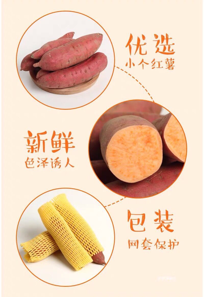 红薯正宗六鳌蜜薯地瓜沙地一件代发10斤包邮批发代办实力