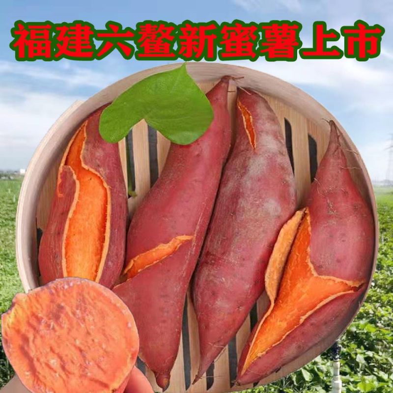 红薯正宗六鳌蜜薯地瓜沙地一件代发10斤包邮批发代办实力