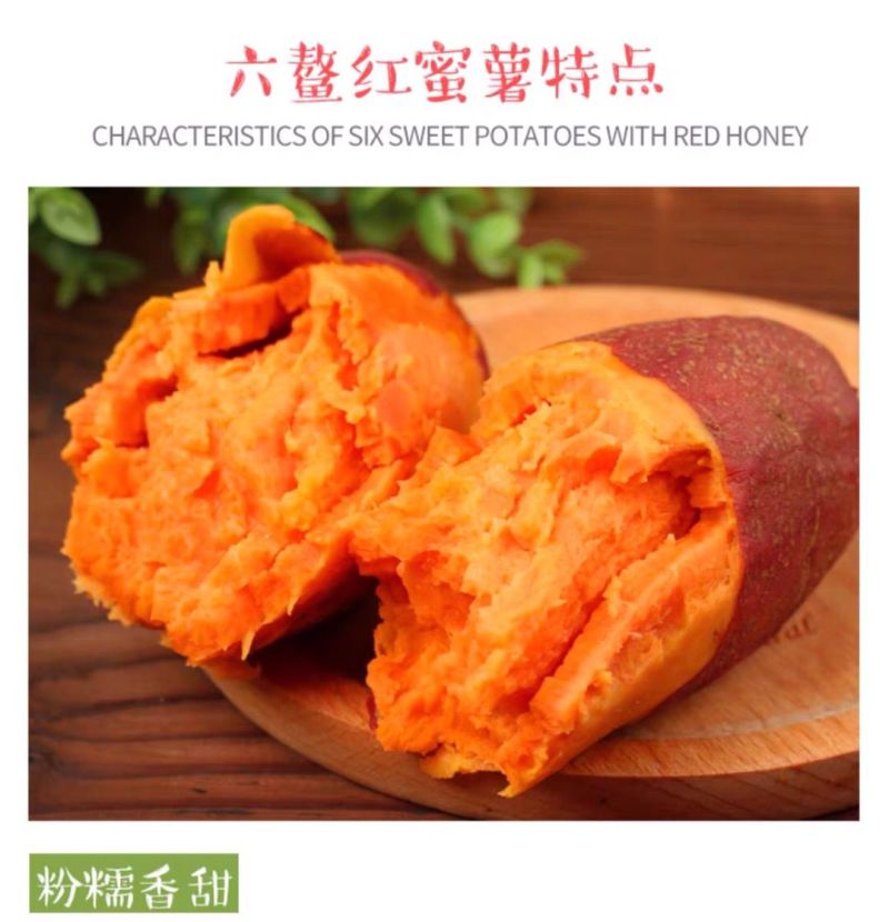 红薯正宗六鳌蜜薯地瓜沙地一件代发10斤包邮批发代办实力