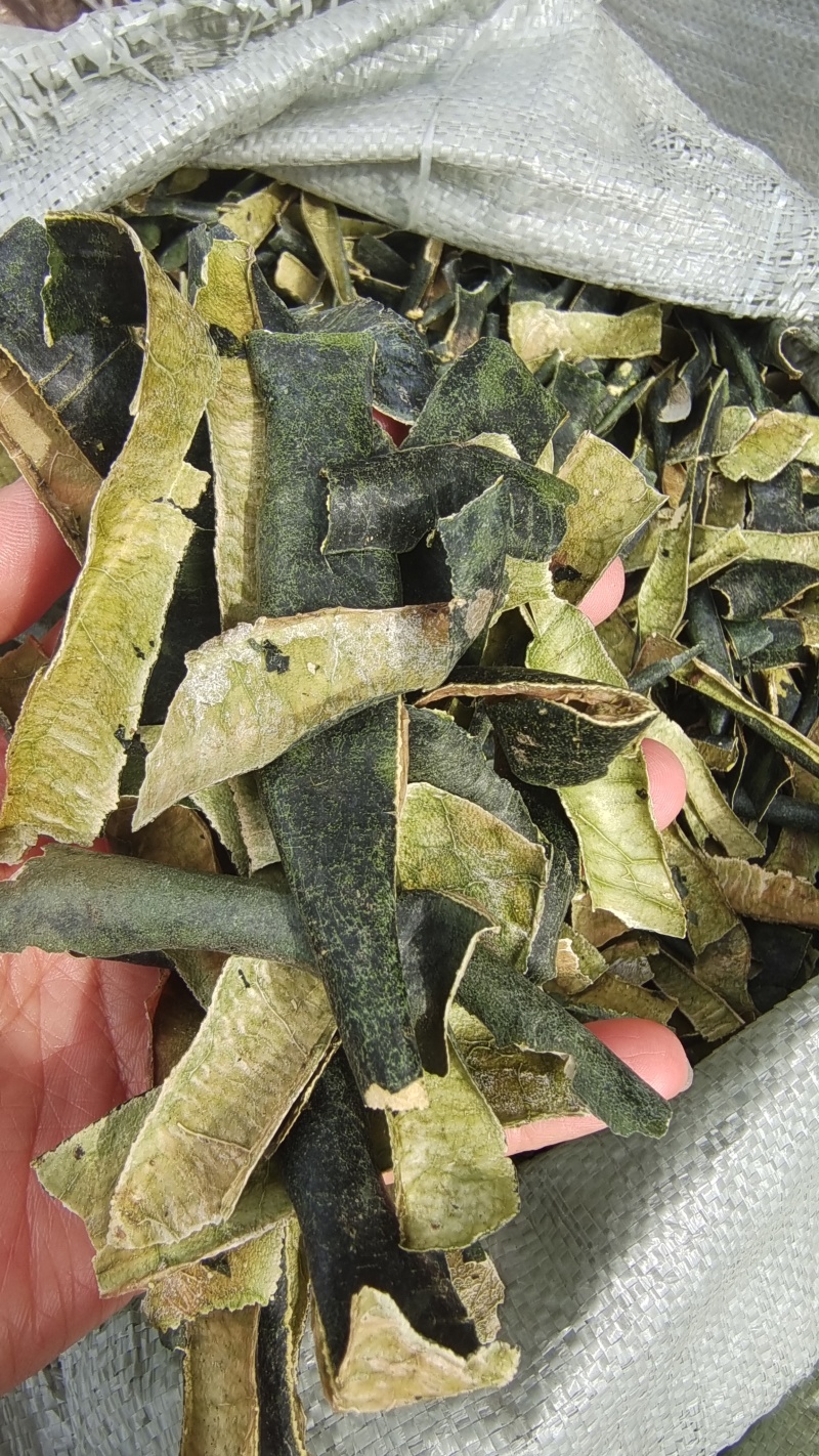 冬瓜皮选货颜色好干货量大优惠