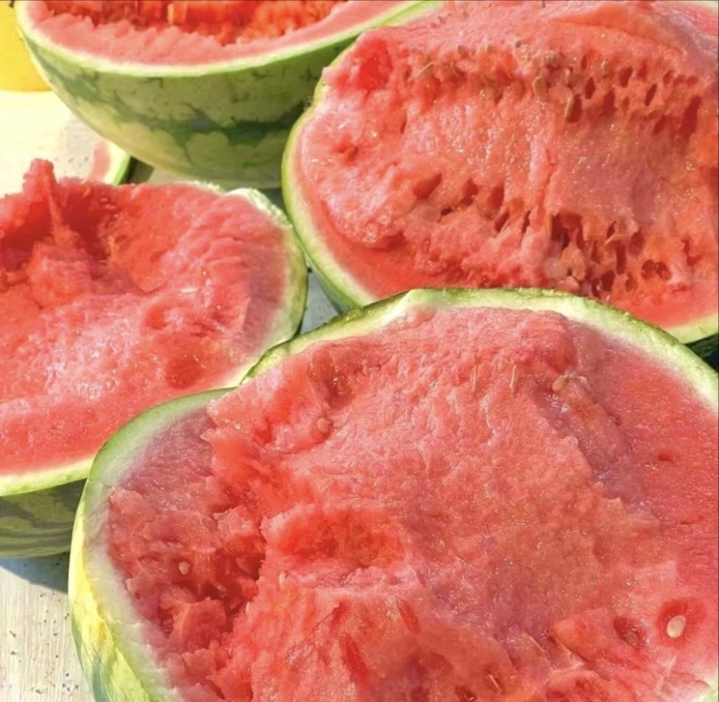 夏邑西瓜，精品甜王西瓜大量供应货源充足量大