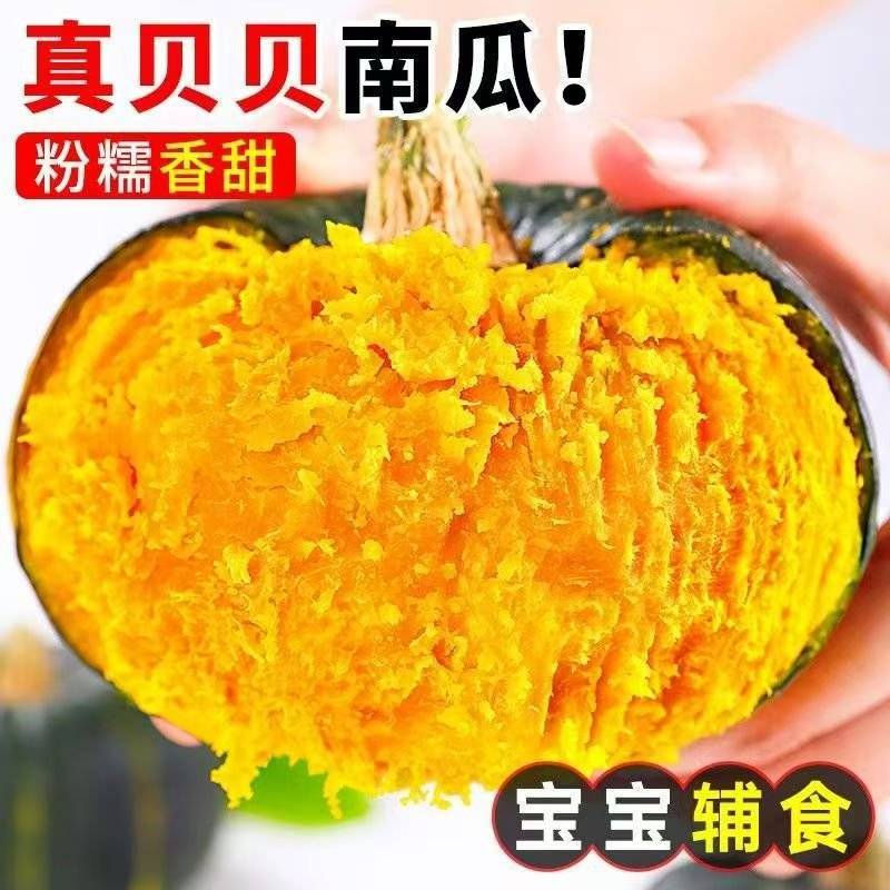 精品贝贝南瓜软儒香甜，质量保证/对接超市电商批发市场