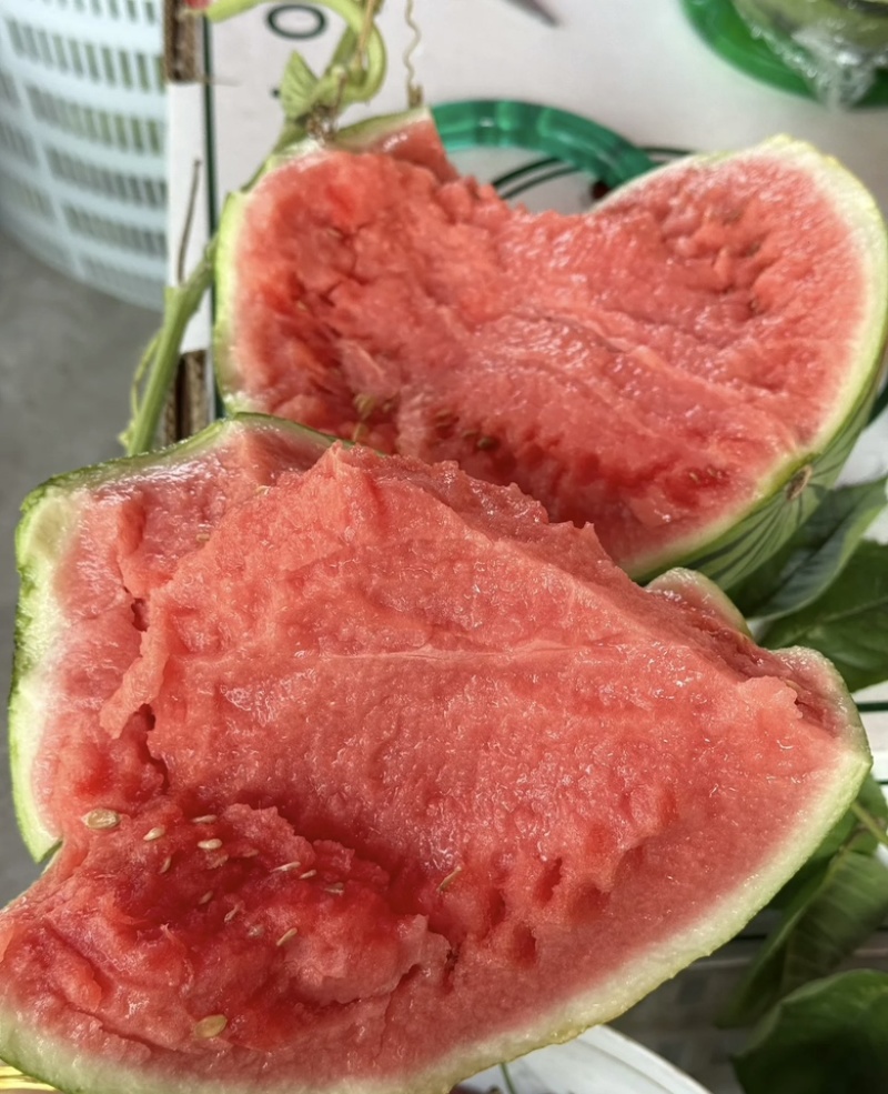 夏邑西瓜，精品甜王西瓜大量供应货源充足量大