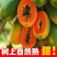 【推荐】木瓜水果木瓜大青红心木瓜电白产区果园直发