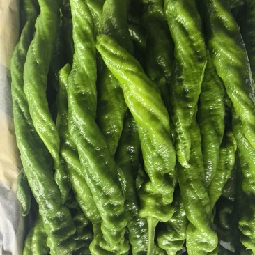 大棚精品螺丝椒，龙椒大量有货，对接全国市场电商平台