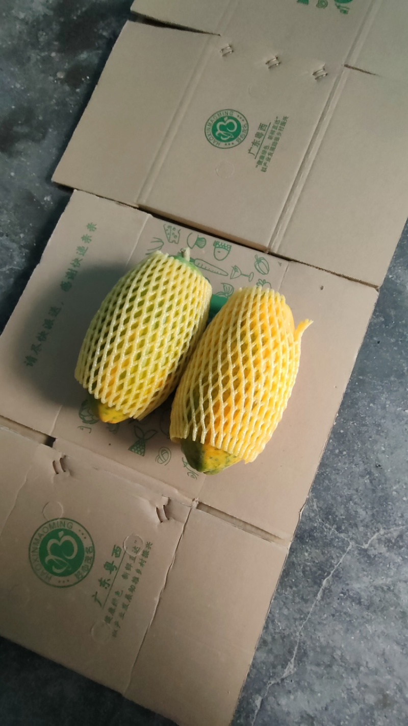 【推荐】木瓜水果木瓜大青红心木瓜电白产区果园直发