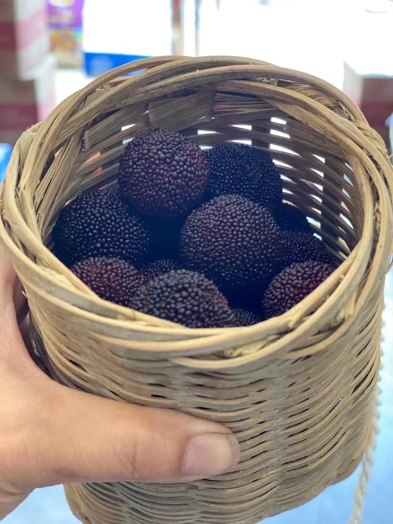 浙江慈溪本土荸荠杨梅，罐头食品厂颗粒饱满，芳甜可口绿色