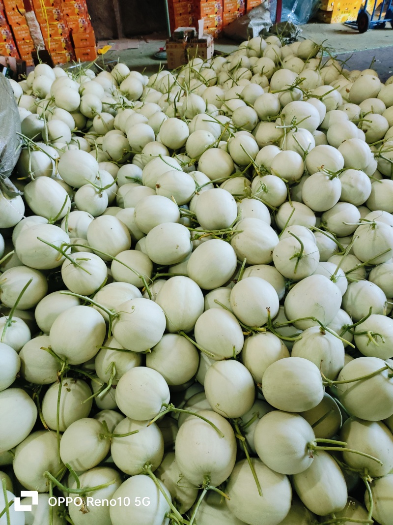 冰清玉菇