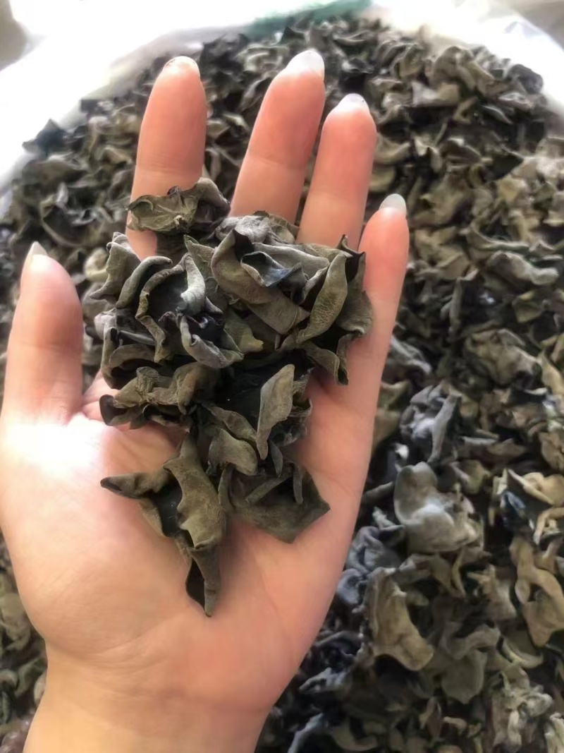 精品木耳大量上市供货稳定存储容易运输方便全国供应价格美丽