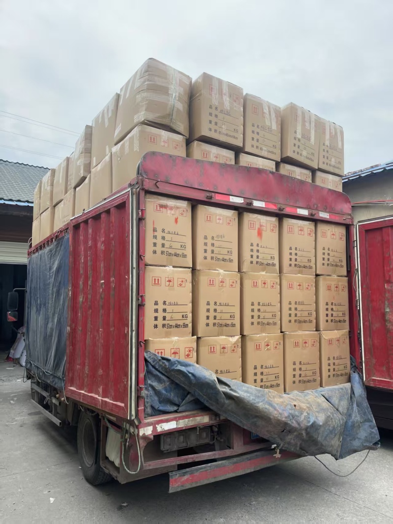 精品木耳大量上市供货稳定存储容易运输方便全国供应价格美丽