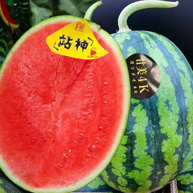 [甘美4k西瓜批发]陕西渭南蒲城县西瓜 0.90元/斤陕西西瓜/ _ 一亩田