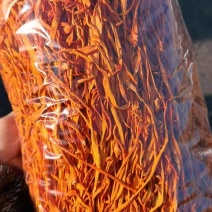 虫草花价格优势批发价格北虫草花金虫草蛹虫草