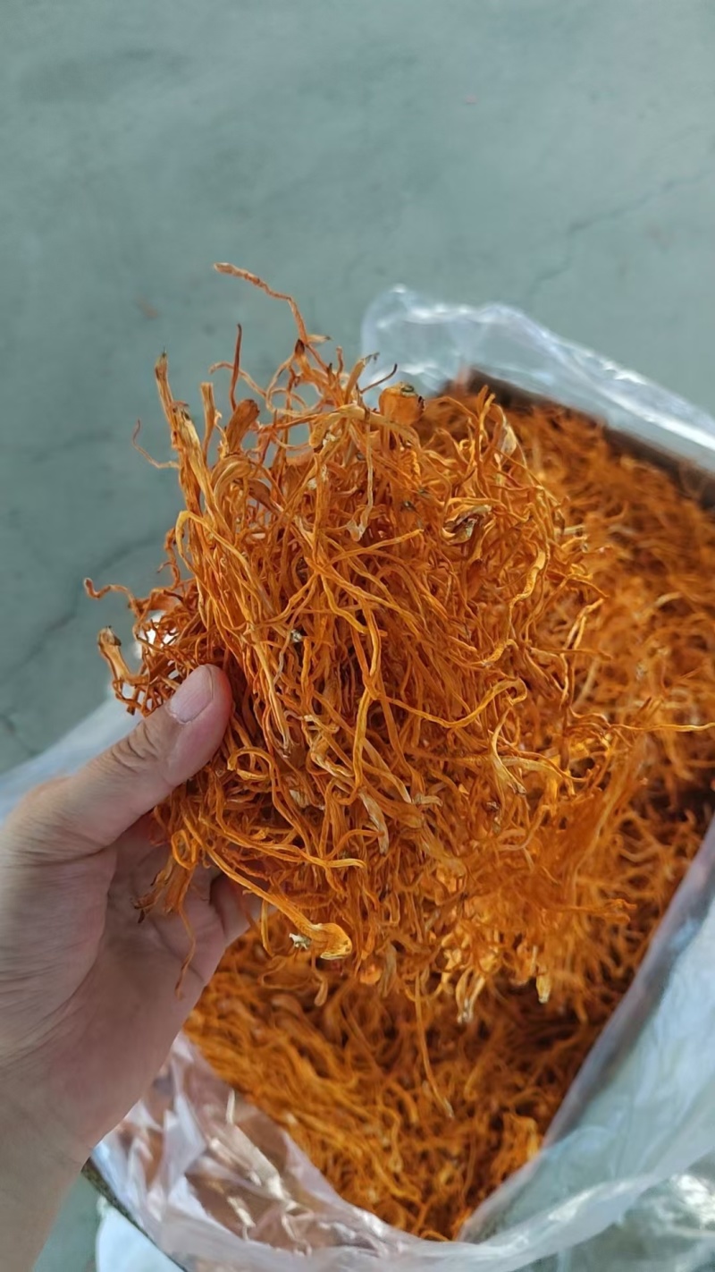 虫草花价格优势批发价格北虫草花金虫草蛹虫草