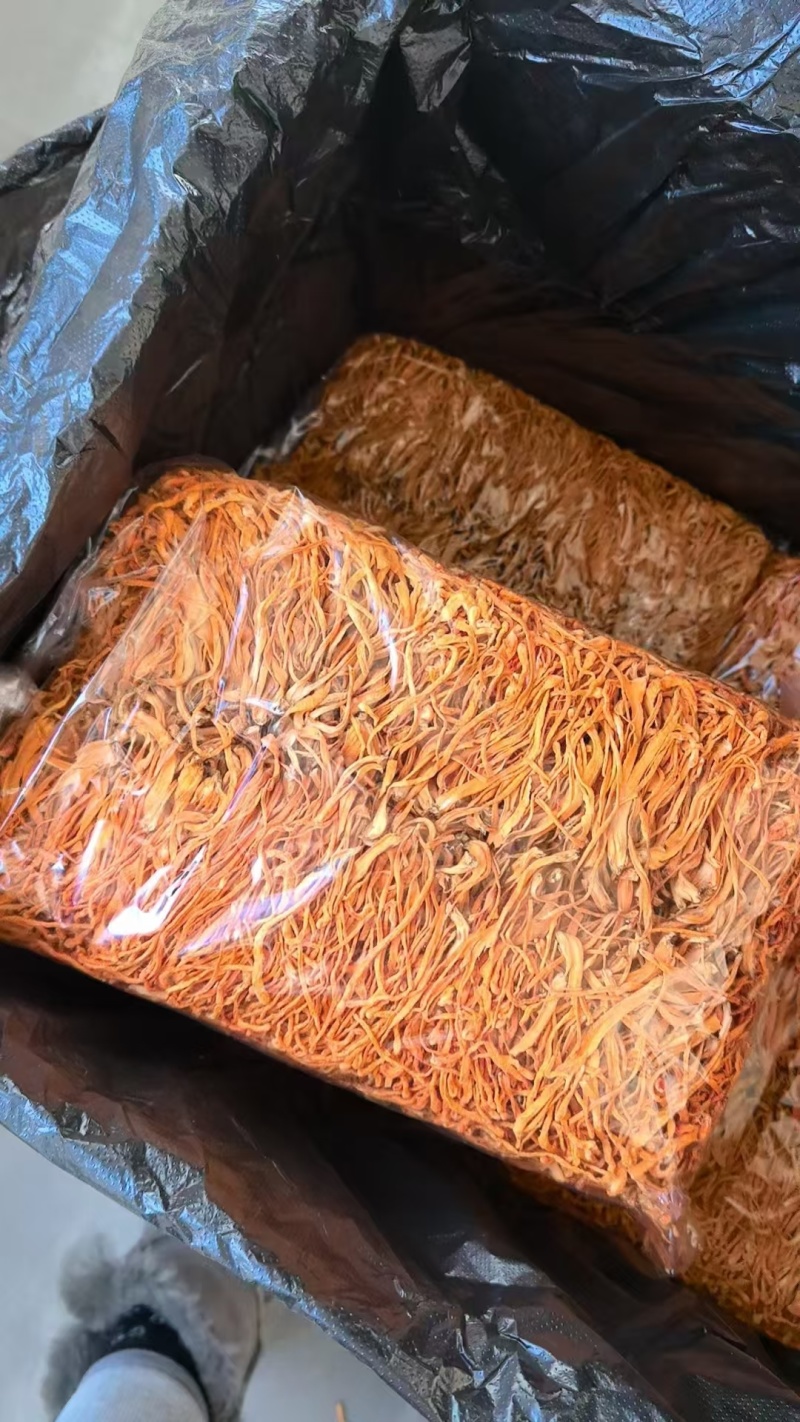 虫草花价格优势批发价格北虫草花金虫草蛹虫草