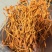 虫草花价格优势批发价格北虫草花金虫草蛹虫草