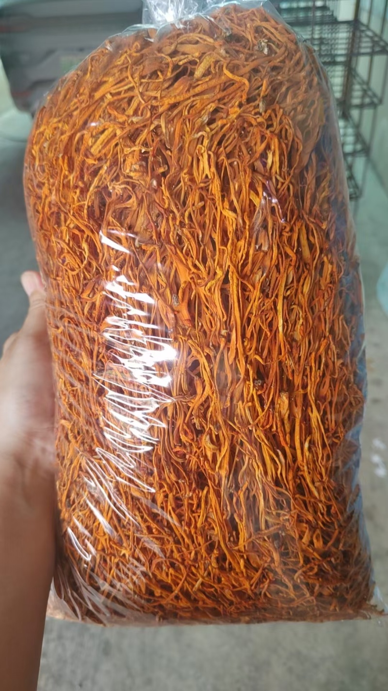 虫草花价格优势批发价格北虫草花金虫草蛹虫草