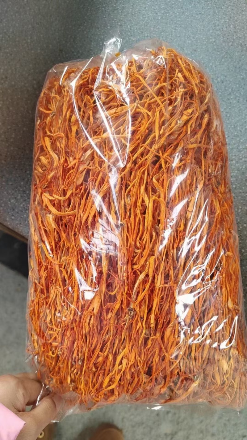 虫草花价格优势批发价格北虫草花金虫草蛹虫草