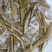 重庆统级莼菜（石柱黄水福吉利莼菜厂）大量上市，工厂直出