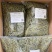 重庆统级莼菜（石柱黄水福吉利莼菜厂）大量上市，工厂直出