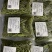重庆统级莼菜（石柱黄水福吉利莼菜厂）大量上市，工厂直出