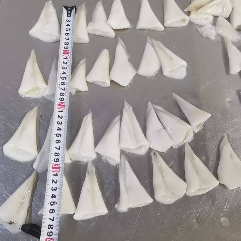 去皮鱿鱼尾尖
