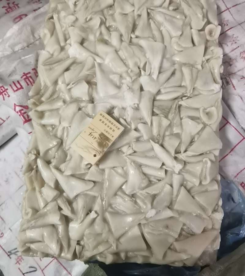 去皮鱿鱼尾尖