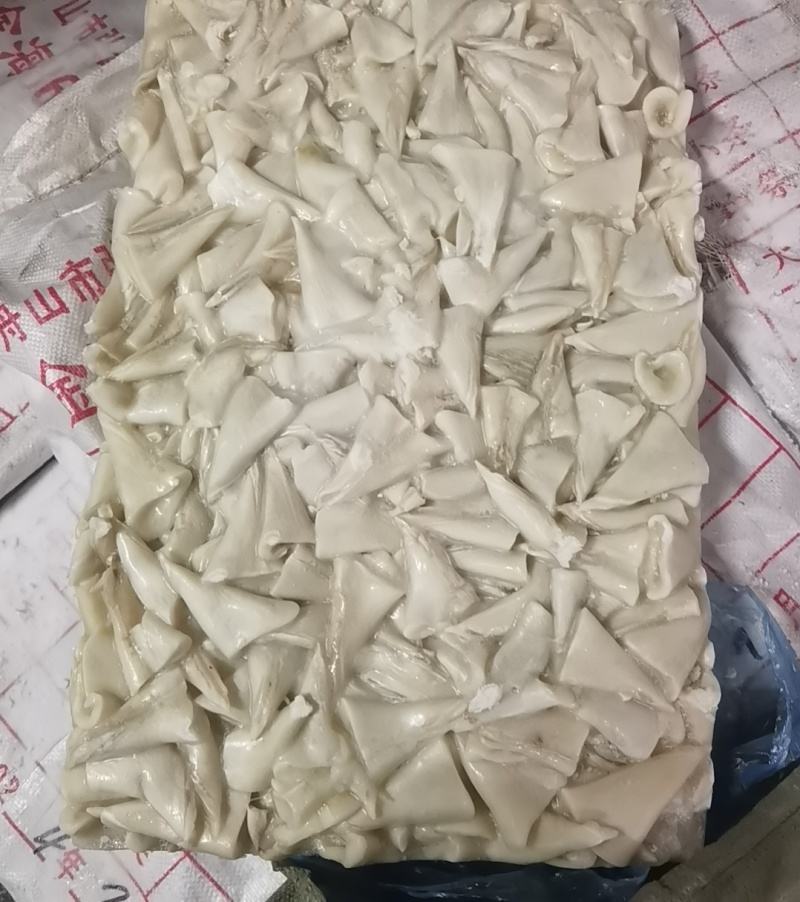 去皮鱿鱼尾尖