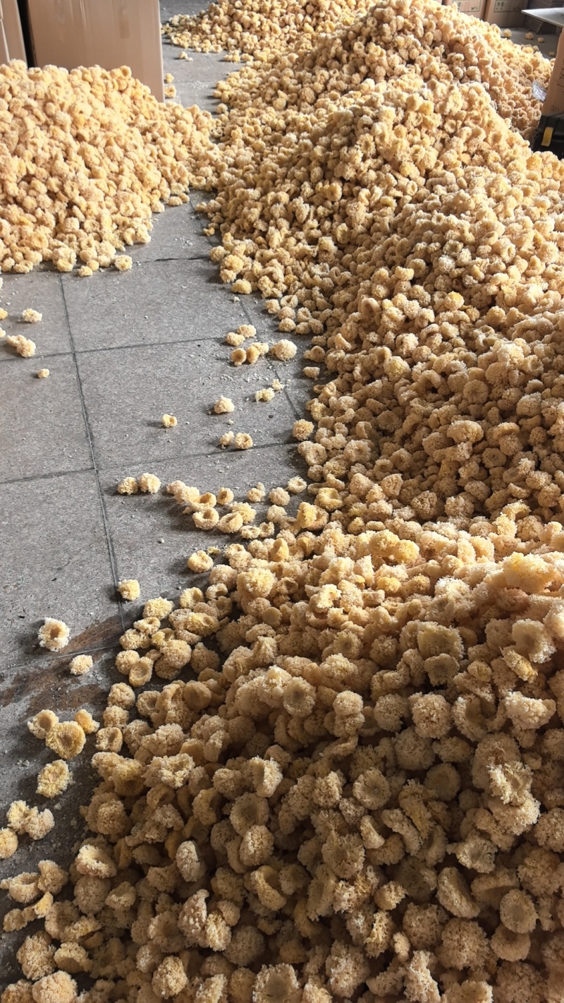 小银耳古田现货产地批发原干净重大量优惠精品无硫