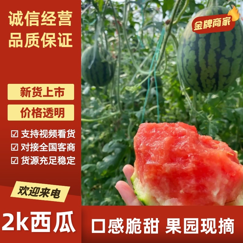 甜王西瓜产地直发品质保证服务周到价格美丽