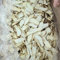 杏鲍菇产地现货古田批发小片大片中片原干净重
