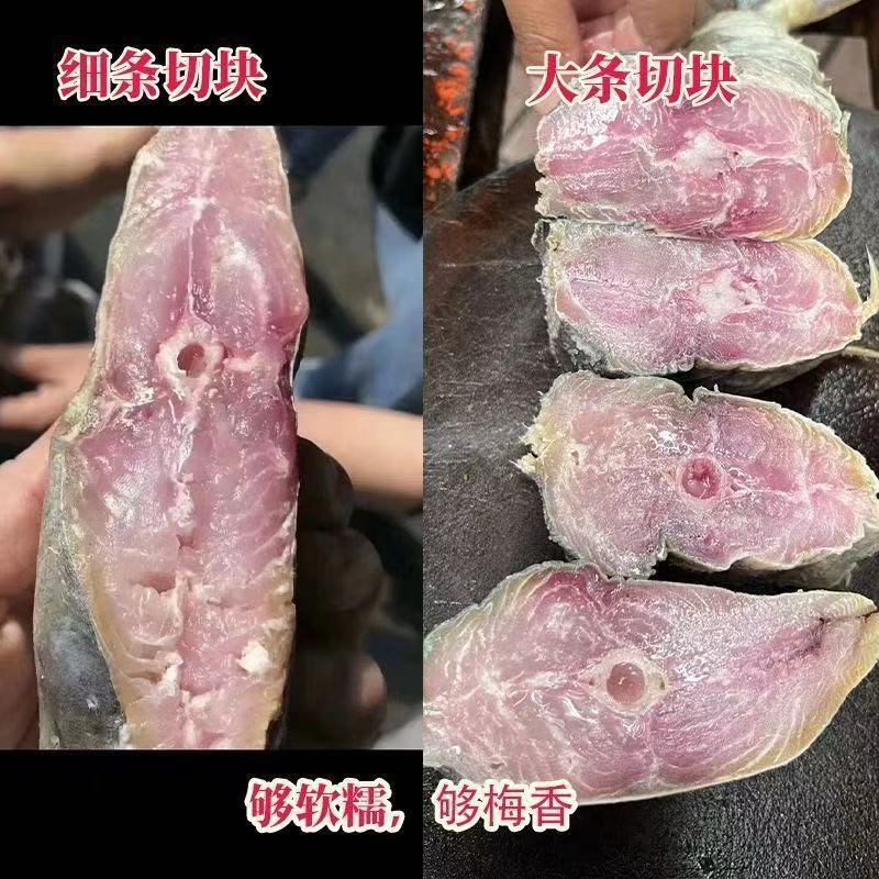梅香咸鱼马鲛鱼地摊电商批发梅香马鲛鱼干酶香马胶马友鱼干