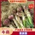 通许紫皮大蒜大量上市，量大从优，电商货，欢迎视频看货