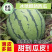 2025精品头茬麒麟西瓜无籽基地直发保质保量现摘现发