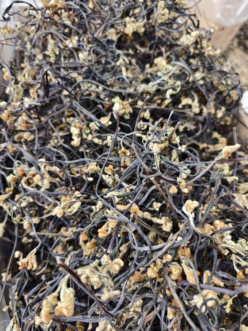 干厥菜，龙爪菜