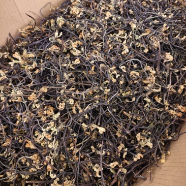 干厥菜，龙爪菜